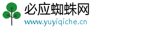 必应蜘蛛网